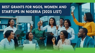 Best Grants for NGOs, Women, and Startups in Nigeria (2025 List)